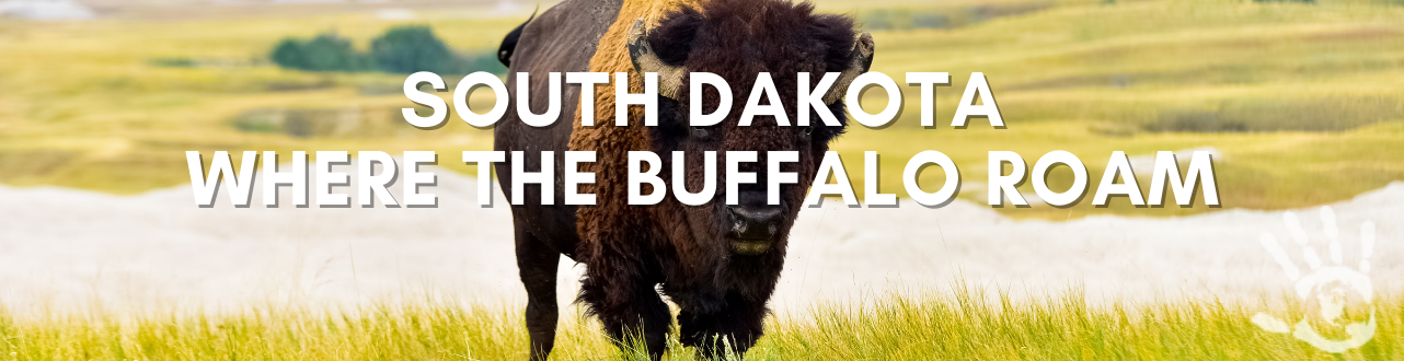 Buffalo-1 Buffalo-1