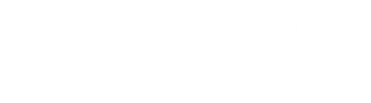 Website Logo Sizing 
