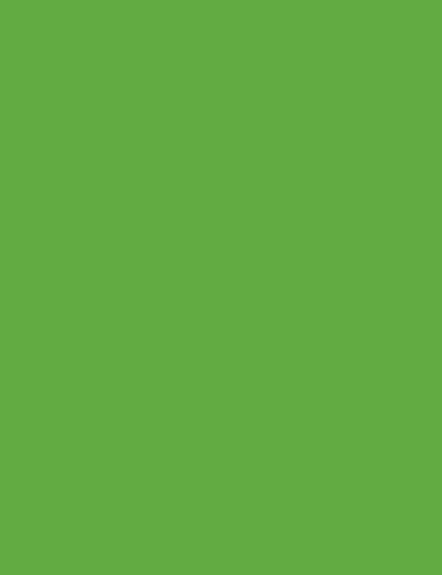 POLY MAILERS (5)